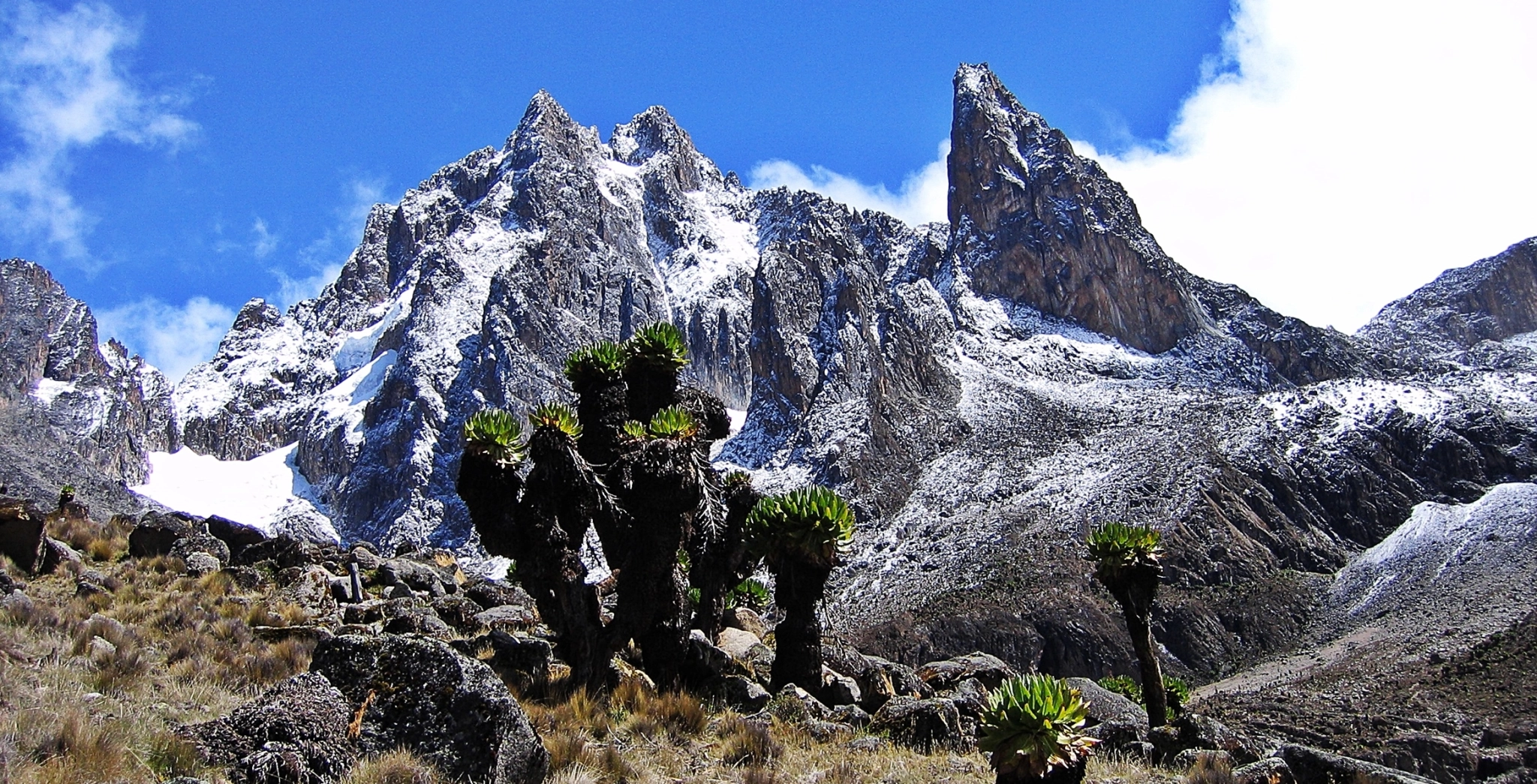 Mount Kenya